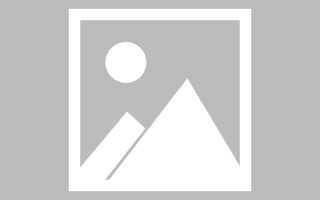 聊城招聘官网网页设计教程（招聘官网网页设计教程下载）